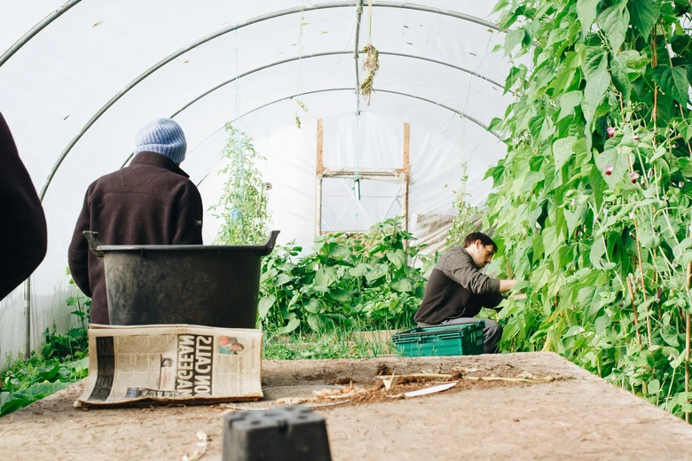 garden maintenance